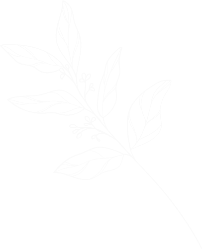folha de fruta
