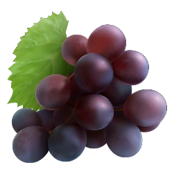 fruta